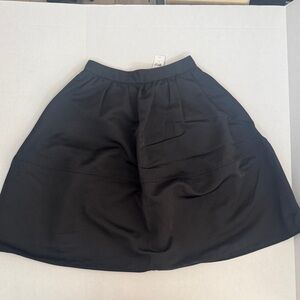 Express Black A-Line Skirt